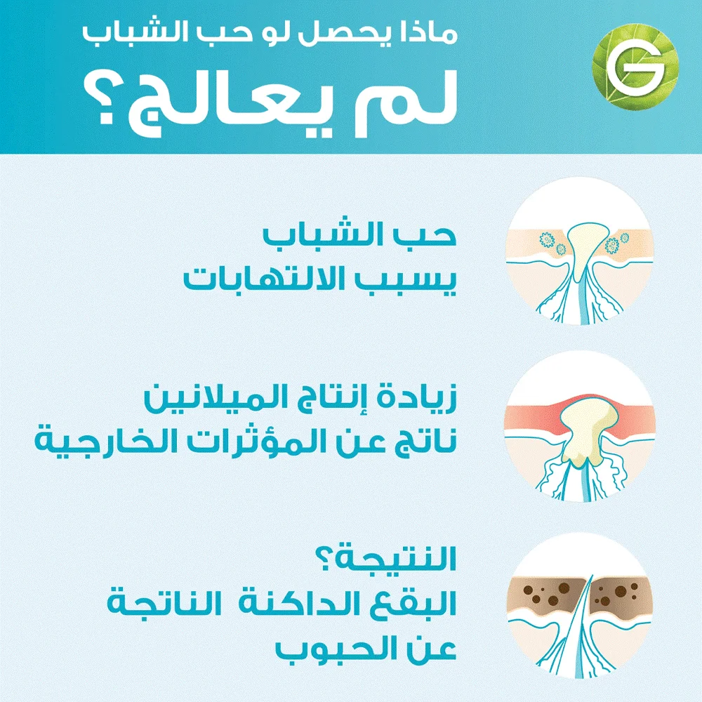 الرئيسية
